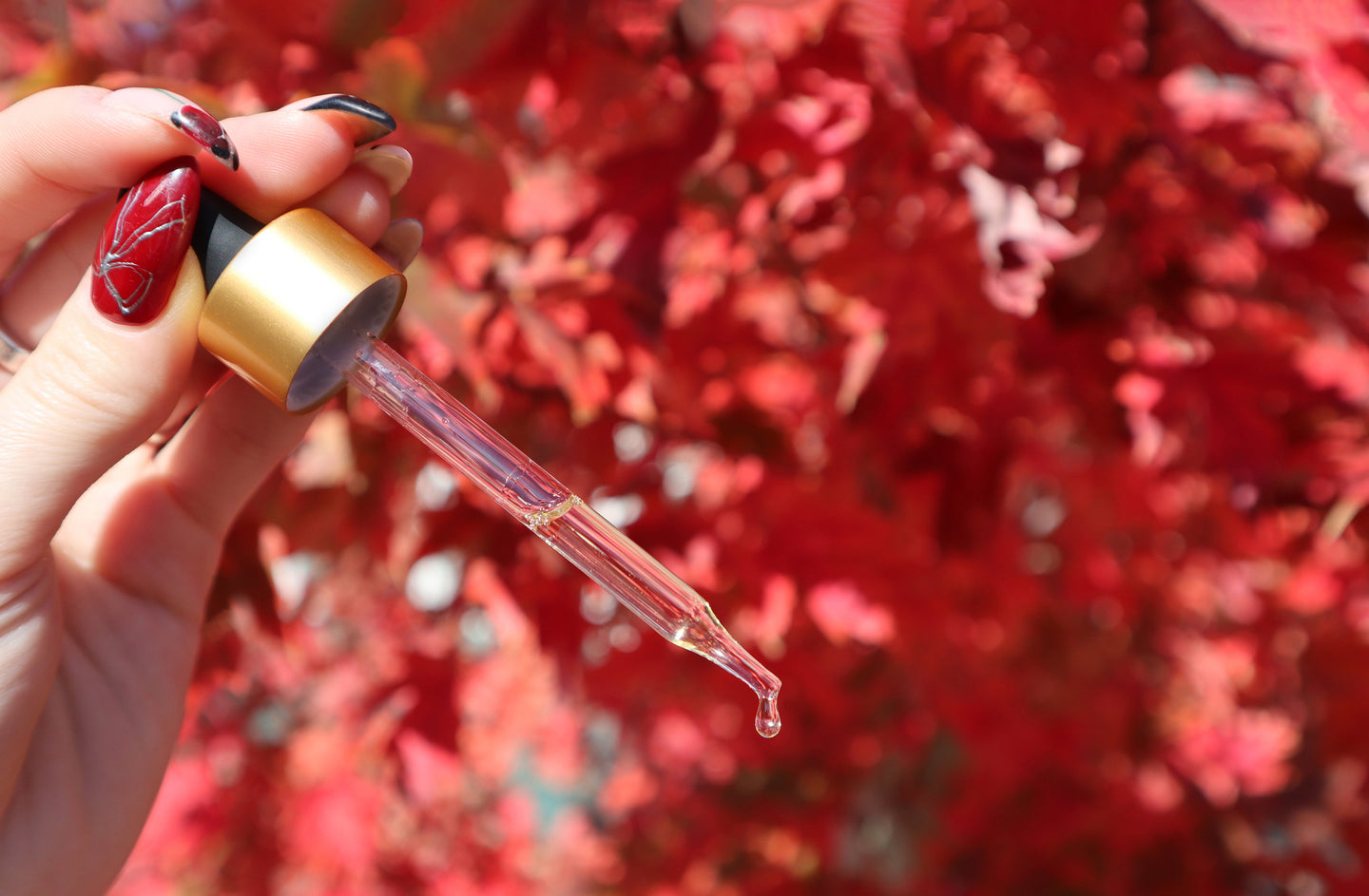 Intimacy Oil